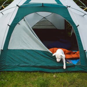 The Best Tents for Camping in Comfort and Style