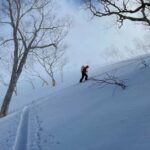 Best Backcountry Touring Skis of 2025